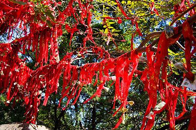 《风来之国》全新DLC举办线下试玩会，1月31日正式发售